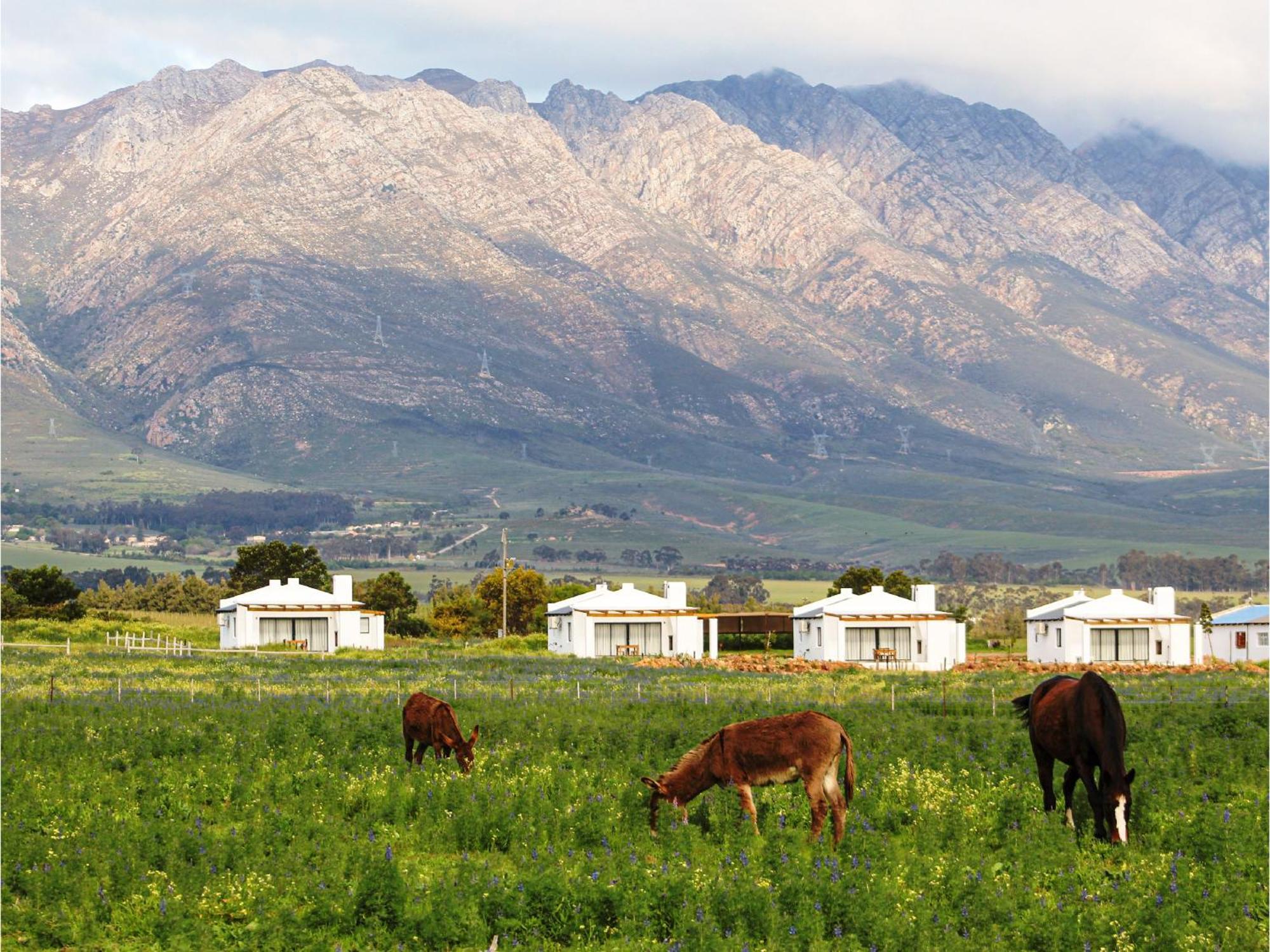 Duikersdrift Winelands Country Escape Hotel Tulbagh Exterior photo