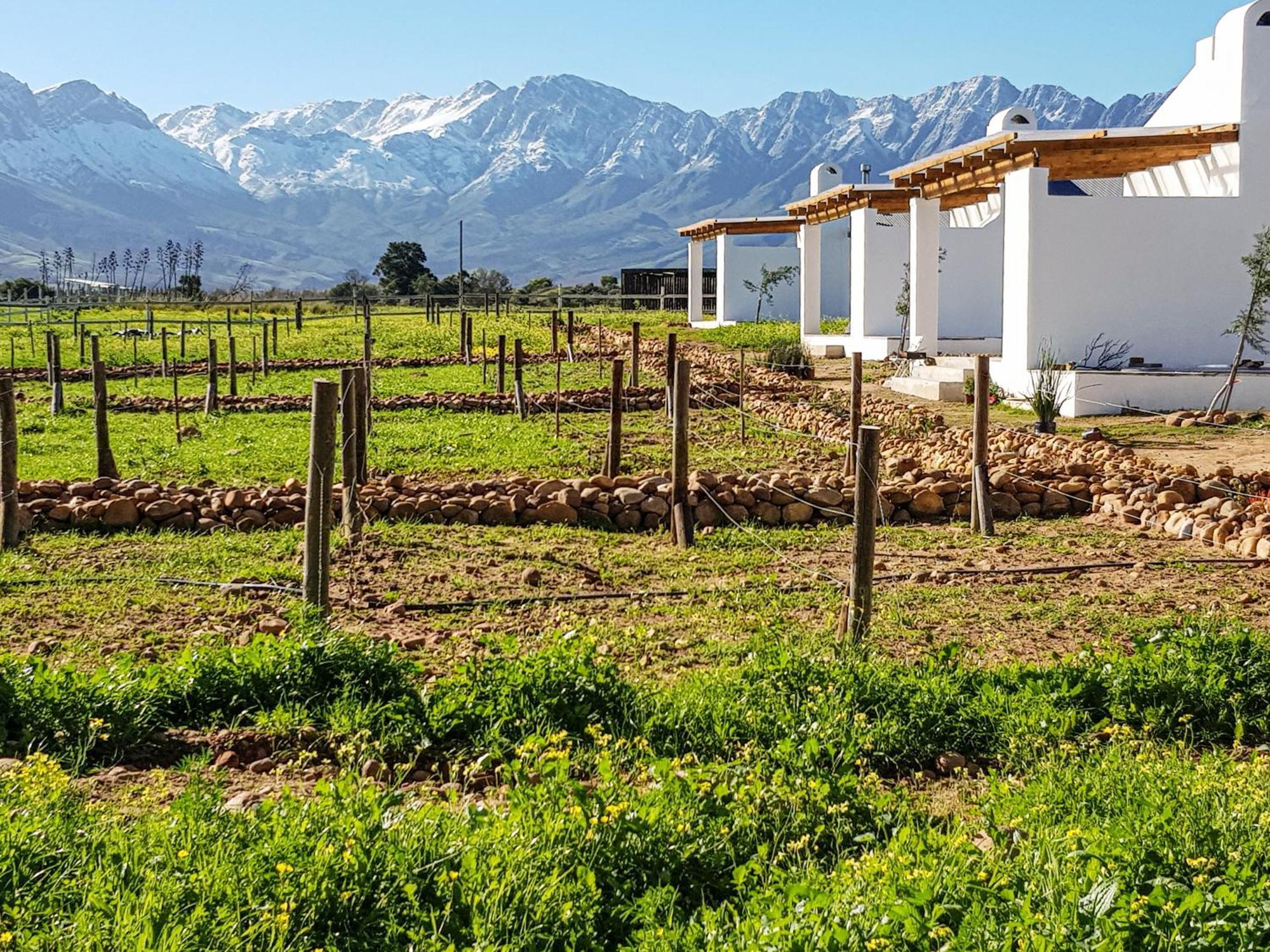 Duikersdrift Winelands Country Escape Hotel Tulbagh Exterior photo