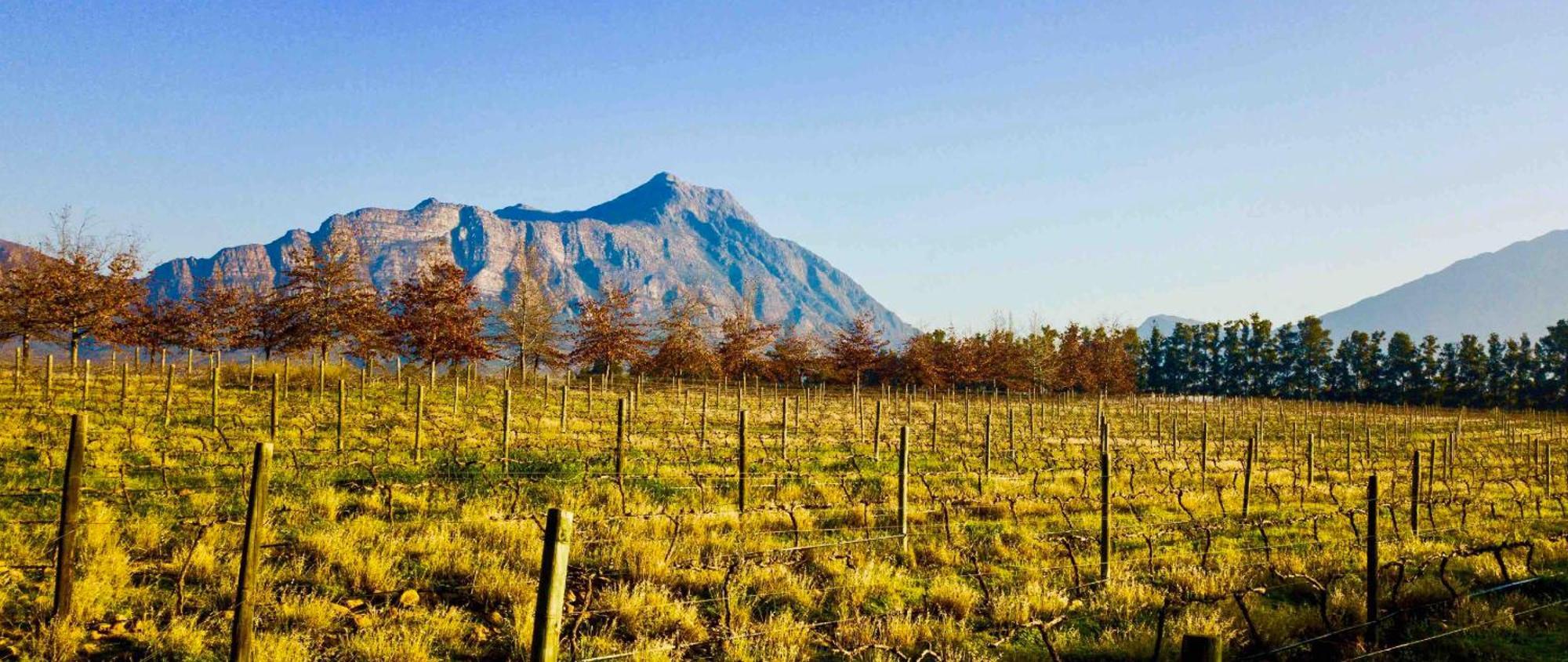 Duikersdrift Winelands Country Escape Hotel Tulbagh Exterior photo